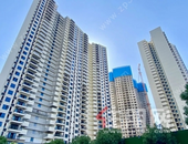 又准备交房！玉林10月各盘工程进度汇总来了，看看你家长高了吗？