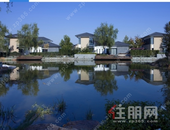 楼市会反弹吗？降首付、下调利率…多城房贷政策松动，专家：基本面不会有大改观