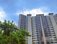 三月家书|星耀碧桂园 春生万物 共启美好