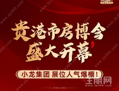 小龙集团 房博会展位人气爆棚