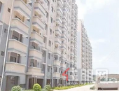 定了！玉林今年新建保障性住房7469套，发放这笔补贴