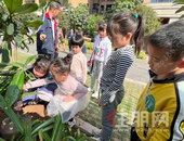 华泰植树节|为春天上色，我们玩开啦