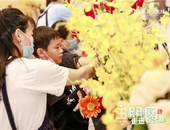 春分，与春江天越一起邂逅甜蜜花约