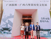 追光广西 弘扬传统丨广西保利X广西六堡茶历史文化展隆重启幕