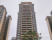 【云星钱隆御园】3月家书丨春风和鸣，共鉴家音