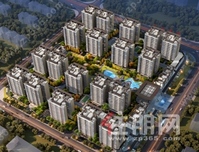 在熙悦的园林里丨从心 深呼吸