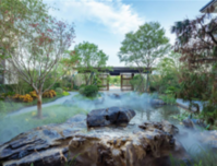 凤岭滨江公园、教育、商业落地，双珑原著准现房兑现在即！