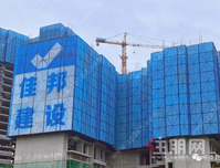 平南碧桂园丨4月春风如信 家颜焕新