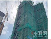 平南金科·博雅6月家书丨夏日光景长 理想颂家音