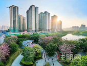 精挑细选！年中盘点单价约4000元/㎡起, 在玉林我们可以买…