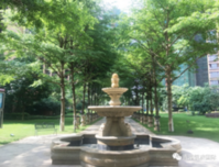 凯旋国际 | 园呈盛景，初夏翠色消烦暑