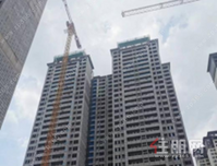 港北区根竹镇乡村振兴示范带-文创基地项目（二期）建议书的批复