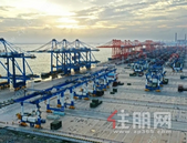 重大项目||北部湾港钦州自动化集装箱码头启用在即