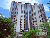 碧桂园城市之光丨盛夏万物繁盛 清风递送家音