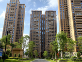 【粉丝卖房】师院附中旁毛坯现房，楼层佳，还送车位！