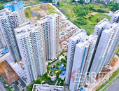 交投碧桂园星悦湾 7月家书 | 蝉鸣知盛夏，家书焕新颜！