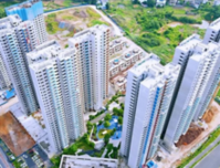 交投碧桂园星悦湾 7月家书 | 蝉鸣知盛夏，家书焕新颜！