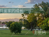 云星玉园大观7月家书|蝉鸣仲夏，共鉴家的成长