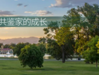 云星玉园大观7月家书|蝉鸣仲夏，共鉴家的成长