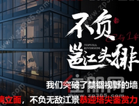 惊艳东盟·越己为峯丨保利冠江墅二期示范区臻雅绽放