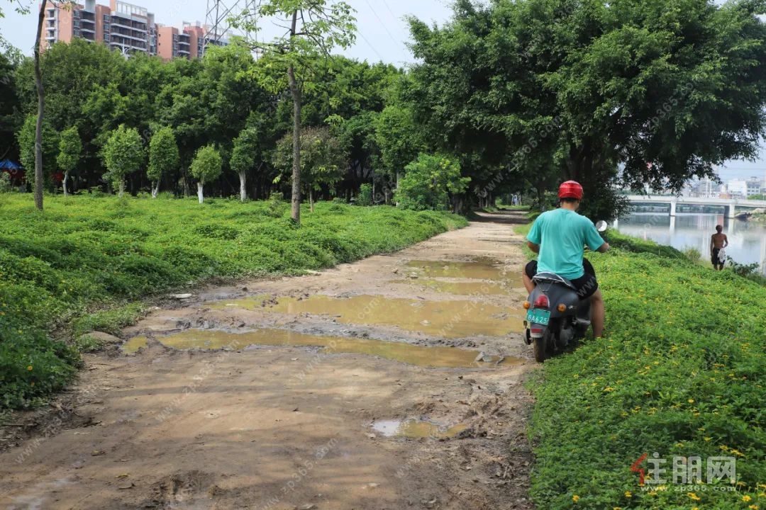 江心岛环岛道路.jpg