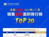 2022年1-12月份玉林市房地产项目备案销售面积、金额排行榜单