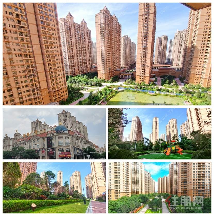 银丰.jpg