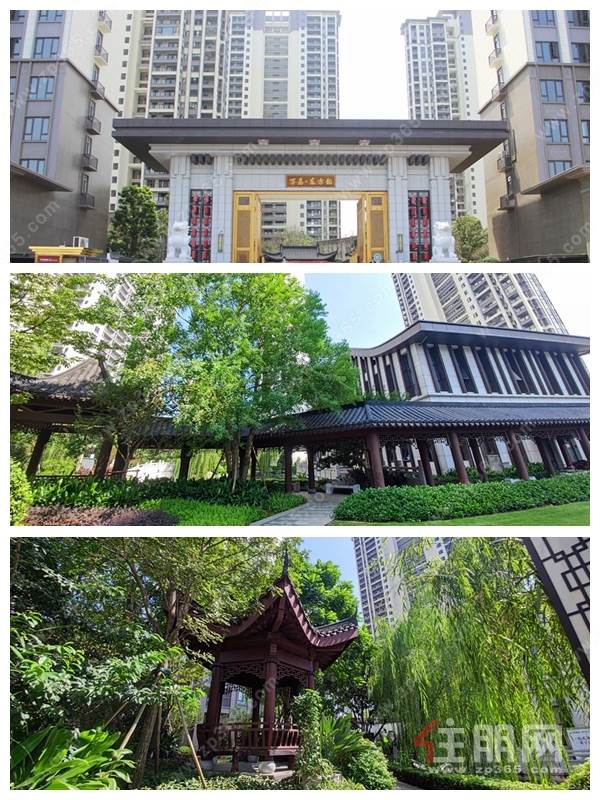 东方韵.jpg