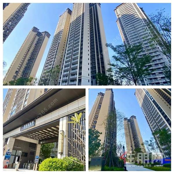 城央时代.jpg