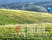 一季度广西将安排各类用地指标7.13万亩