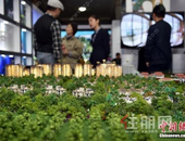 首套房贷利率跌破4% 买房时机来了？