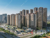 现场直击！五象湖1号——一场超越期待的提前交付