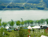 『业主宠爱季』开心农场菜地认领+露营，免费来“野”