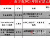 98.09亩！南宁4幅土地预公告已发布，小的仅5.14亩 