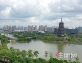 2024年南宁市小学新生入学、小学升入初中网上登记开启