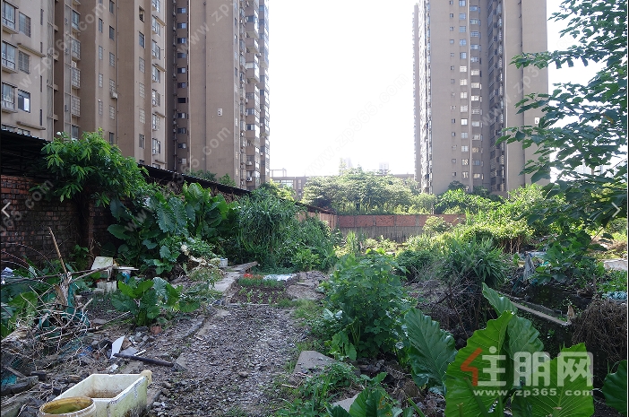 地块 地块