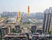 多地试点取消中考?12年贯通培养?南宁五象这个校区很有可能成试点?