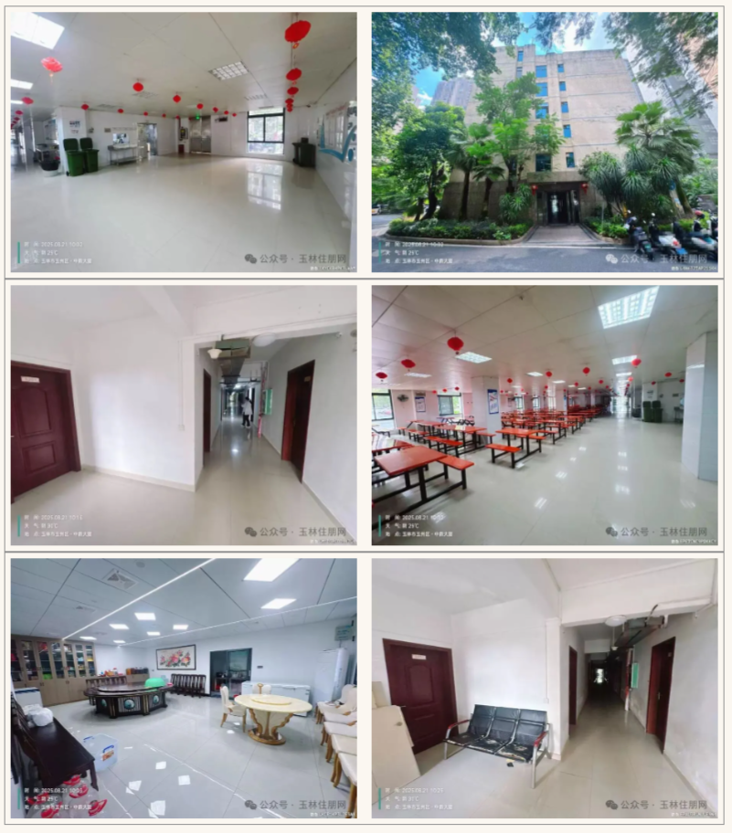 拍品现状 拍品现状