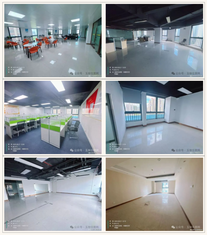 拍品现状 拍品现状