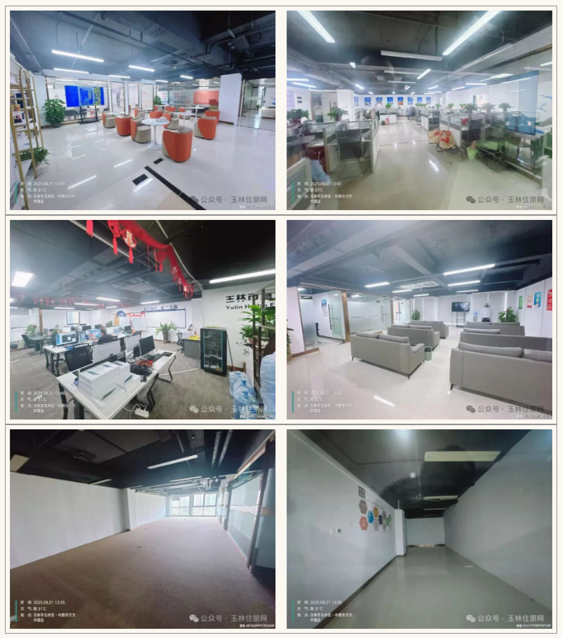 拍品现状 拍品现状