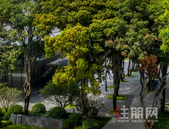 市中心一线江景大平层工  抵 房 流出！抢一套少一套！