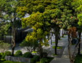 市中心一线江景大平层工  抵 房 流出！抢一套少一套！