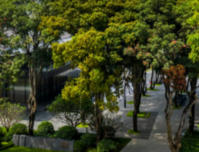 市中心一线江景大平层工  抵 房 流出！抢一套少一套！