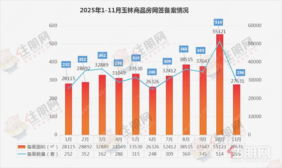 11月数据 11月数据