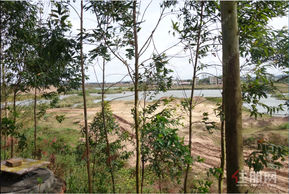 地块现场 地块现场