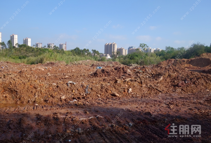 地块现场 地块现场