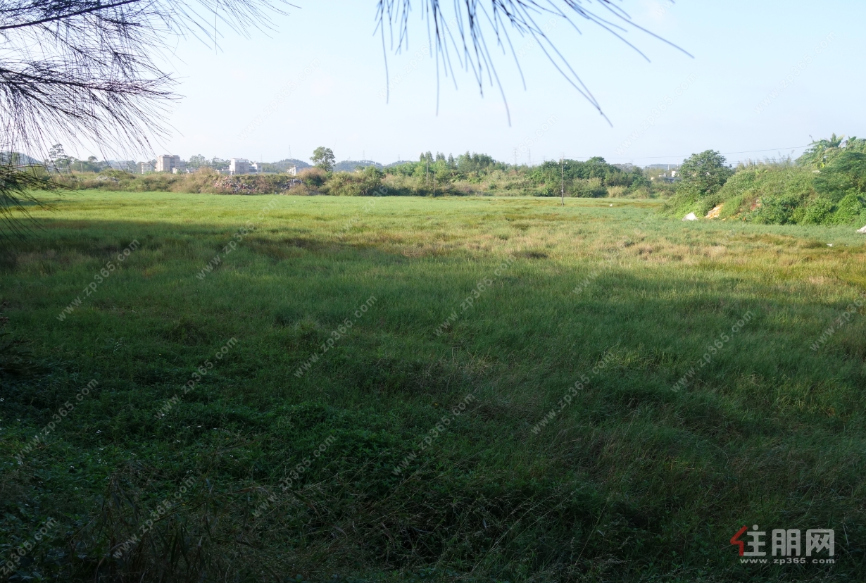 地块现状 地块现状