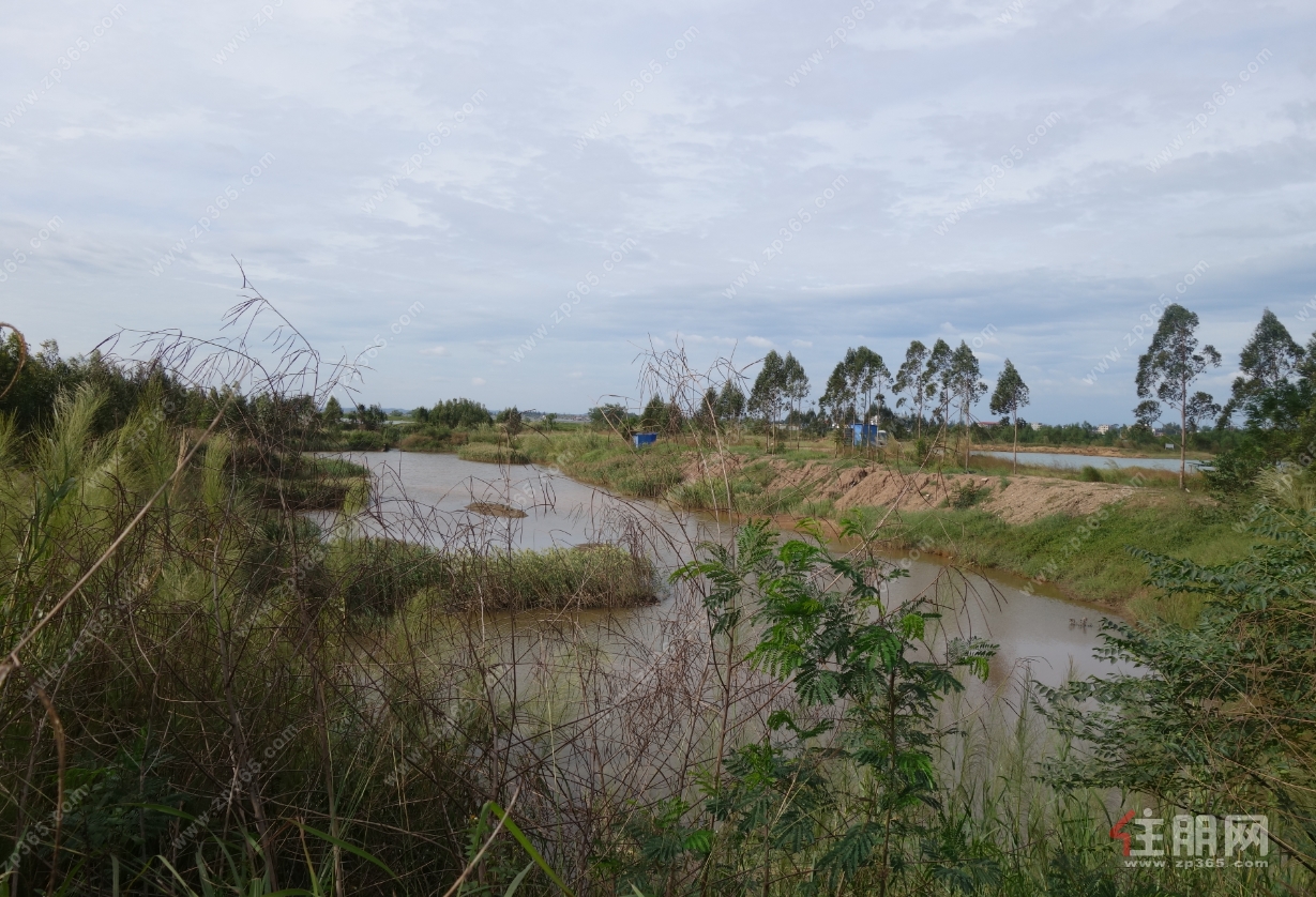地块现状 地块现状