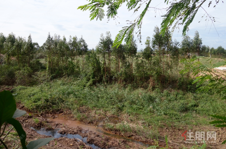 地块现状 地块现状