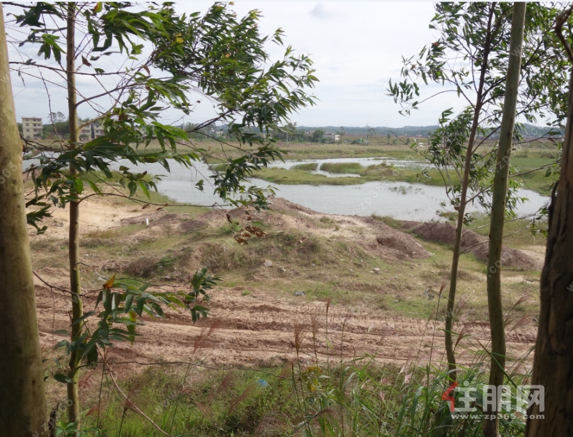 地块现状 地块现状